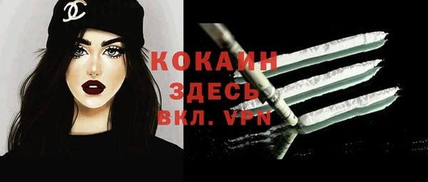 a pvp Алзамай
