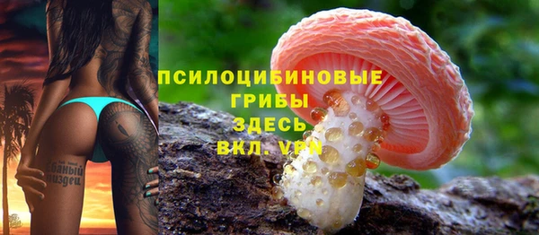spice Няндома